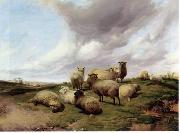 unknow artist, Sheep 146